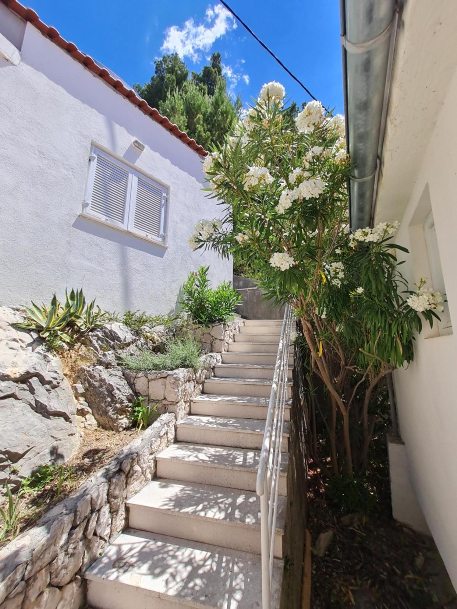 Apartments Apartmani Pintar Міміце Екстер'єр фото